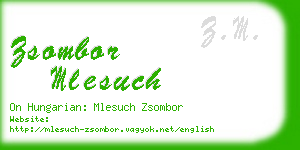 zsombor mlesuch business card